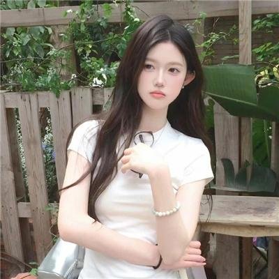假元首秘纪